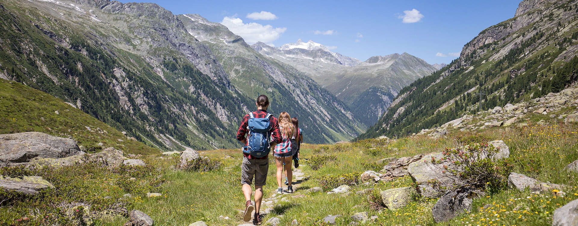 Hiking in summer in the Zillertal